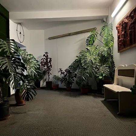 Family Adventure At Pazar * ティラナ