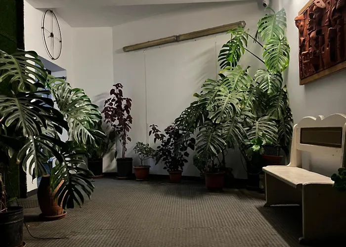 Family Adventure At Pazar * ティラナ